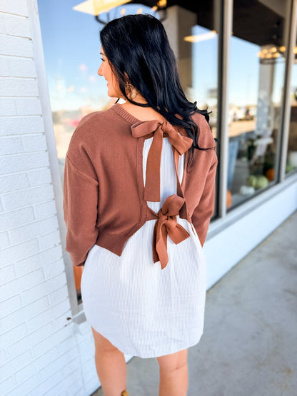 Sweater Back Tie Striped Twofer Mini Dress - Brown
