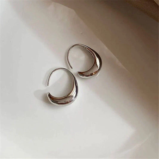 Luxurious Earrings Made of Gold and Silver